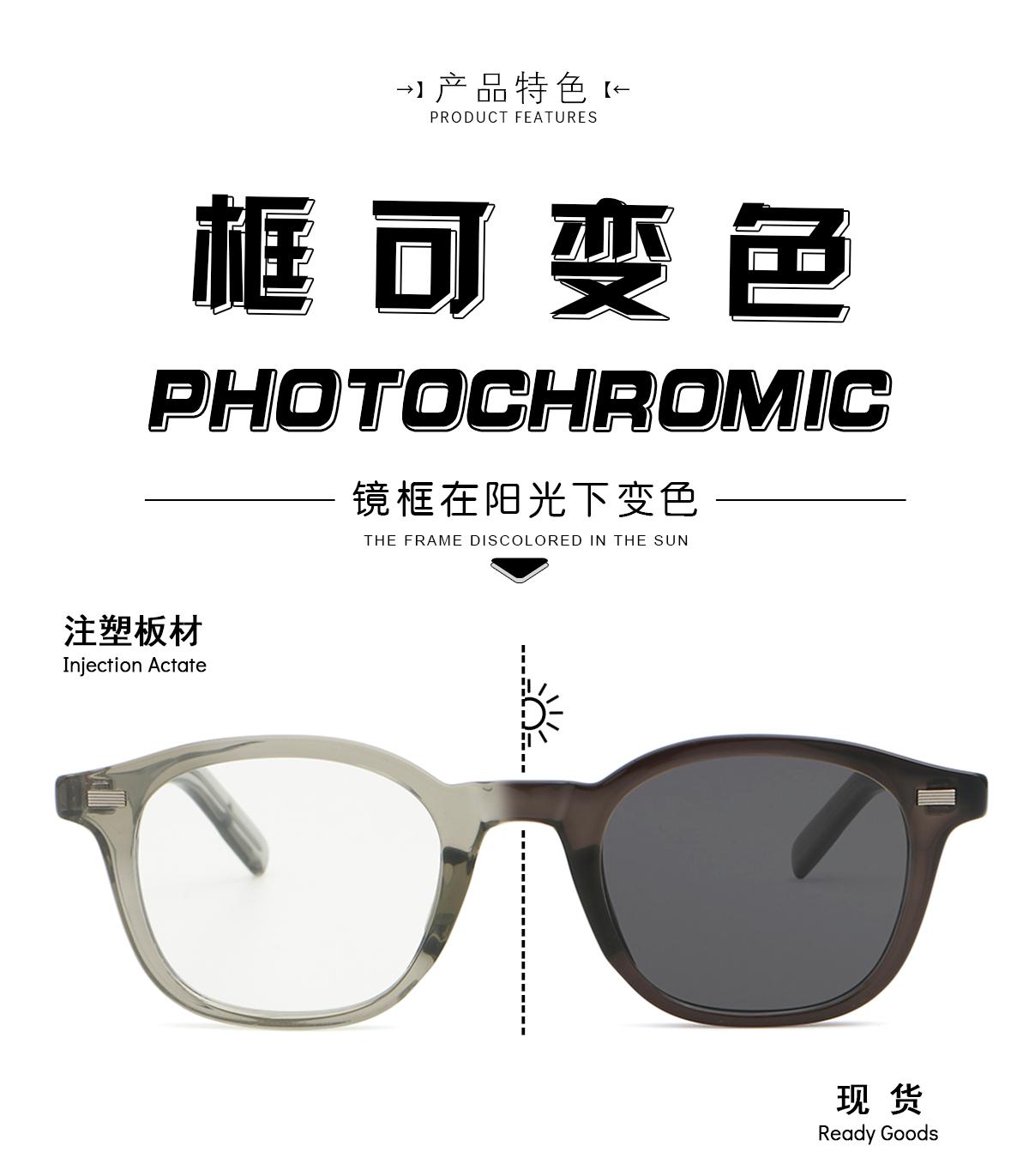 变色架 352603-2 太阳镜