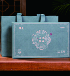 龙途大业 2023年白毫银针90g 国尧
