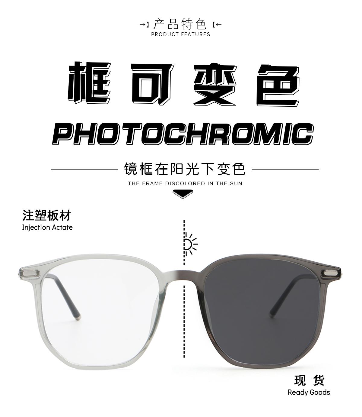 变色架 352601-2 太阳镜