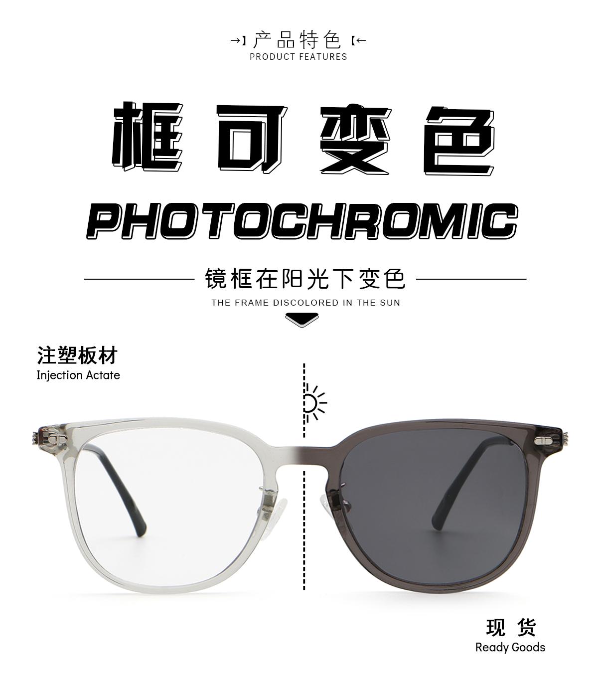 变色架 352602-2 太阳镜