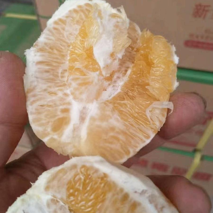 赣南脐橙 九省包邮 鲜果多汁