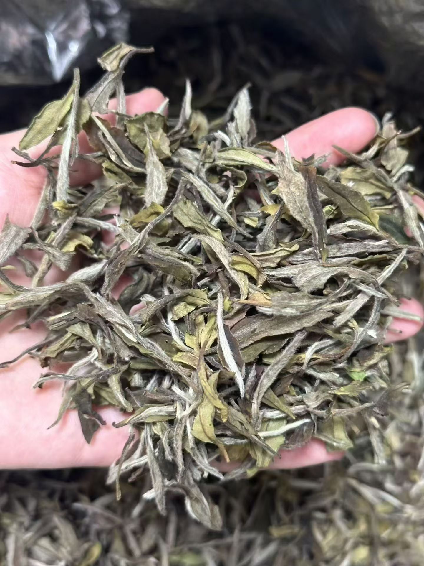 21年一级牡丹 12121