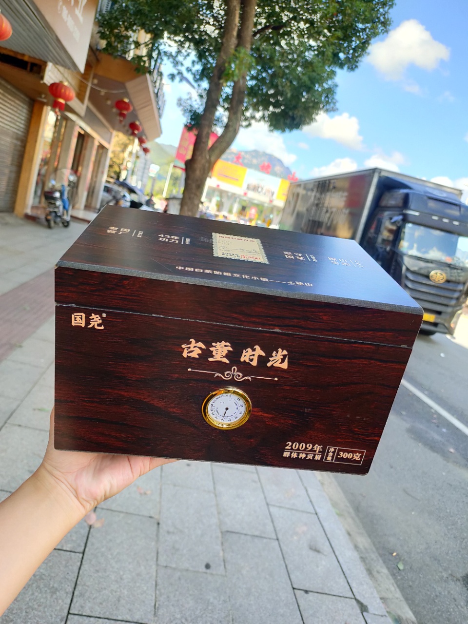 2009古董时光 群体种贡眉 国尧