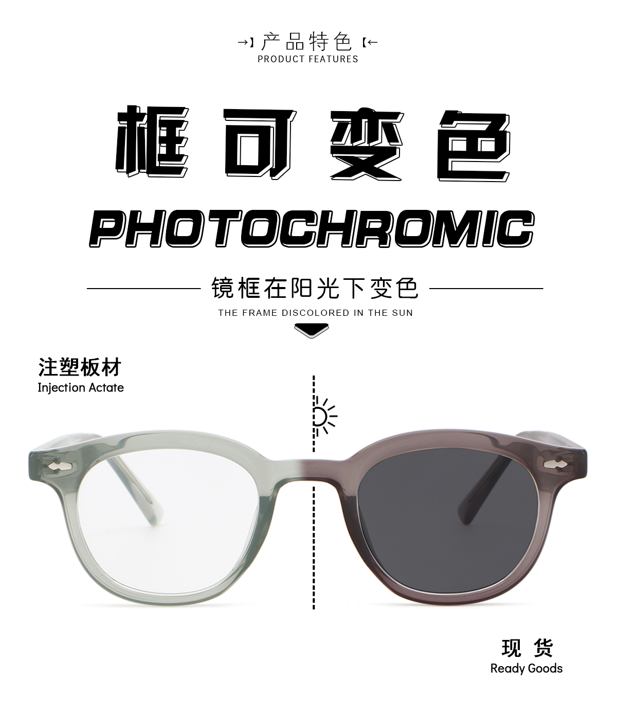 变色架 352604-2 太阳镜